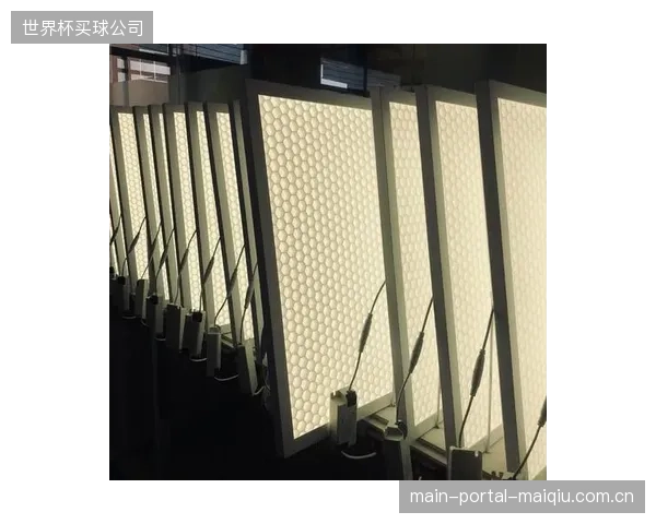 安全不容忽视：优化的蜂窝状防眩光格栅设计，可将灯具的迎风面积减少超过25%，显著降低高杆灯系统的结构风载荷